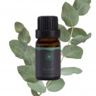 Eucalyptus naturlig eterisk olje 10 ml thumbnail