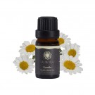  Kamille Naturlig Eterisk Olje (Romersk) 10 ml thumbnail